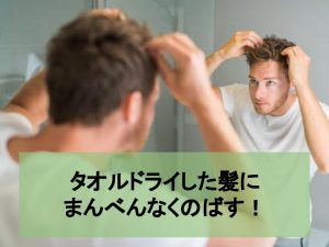 美容師が推薦 メンズヘアオイルおすすめランキング15選 剛毛 軟毛 くせ毛セットに最適な市販品 使い方 Neutral